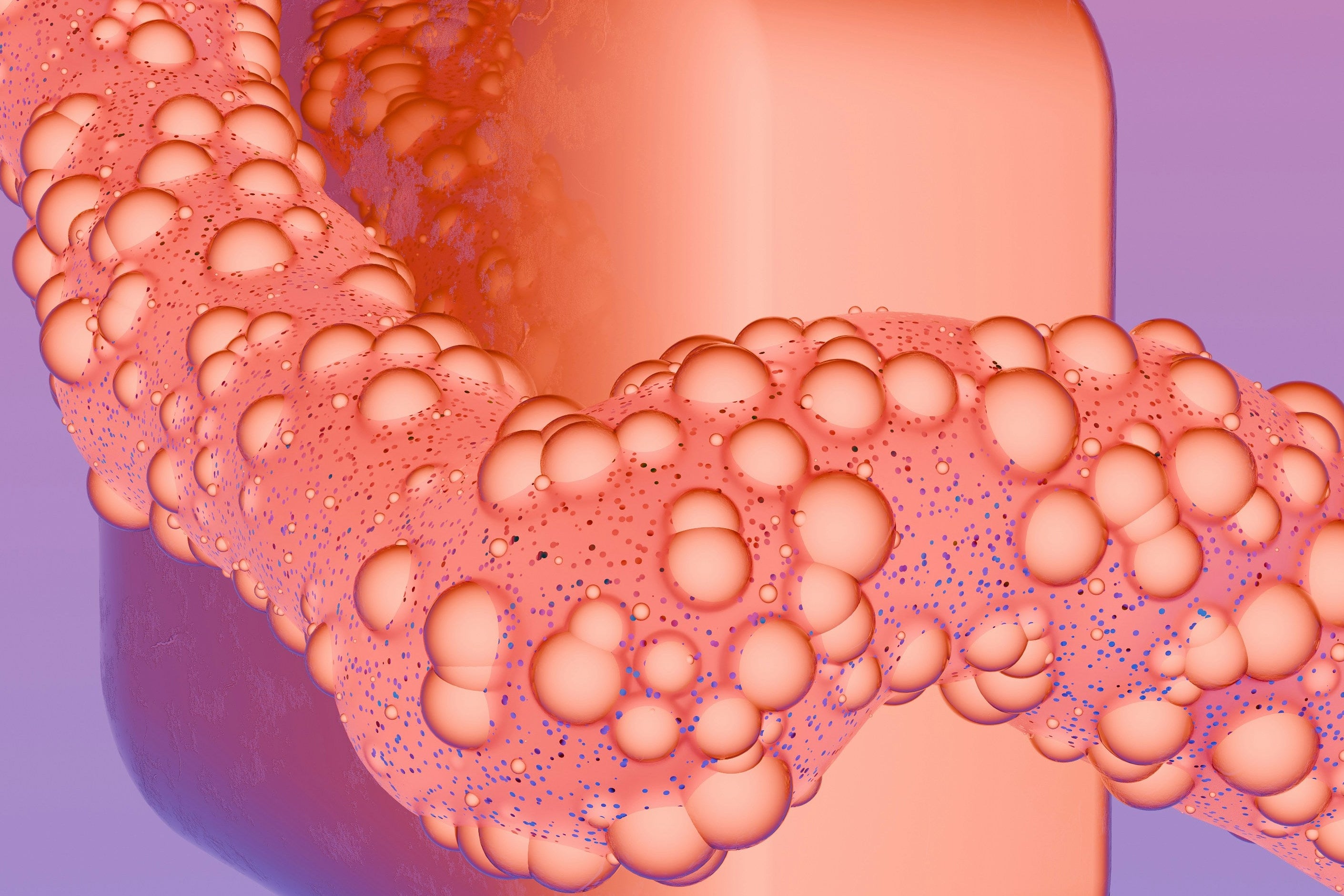 the science of butt acne